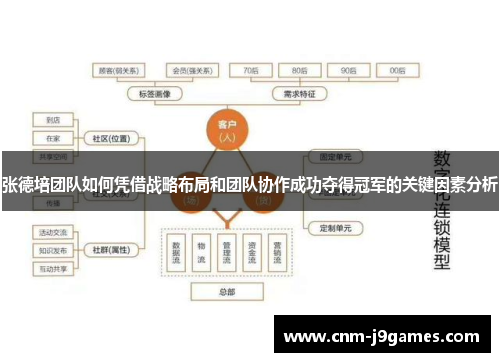 张德培团队如何凭借战略布局和团队协作成功夺得冠军的关键因素分析