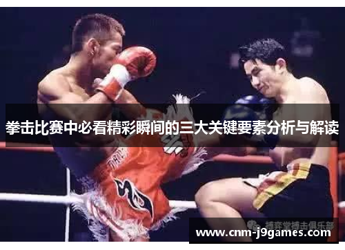 拳击比赛中必看精彩瞬间的三大关键要素分析与解读 拳击比赛中必看精彩瞬间的三大关键要素分析与解读